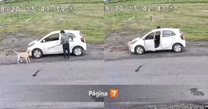 Crudo caso de maltrato animal: sujeto golpeó brutalmente a un perro con herramienta en Los Ángeles