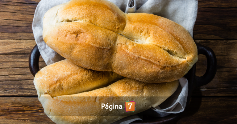 Trigo alto en fibra: el avance chileno que busca mejorar la salud de quienes aman el pan blanco