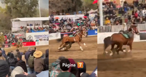 Actualizan estado de salud de Carabinero sufrió caída y fue arrastrado por caballo en Padre Hurtado