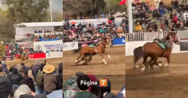Actualizan estado de salud de carabinero que fue arrastrado por caballo en Padre Hurtado