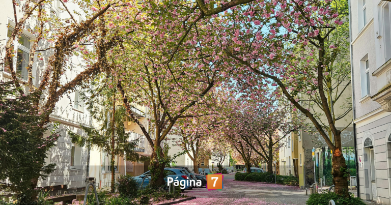 Equinoccio de primavera 2025: ¿a qué hora se concreta el cambio de estación en Chile?