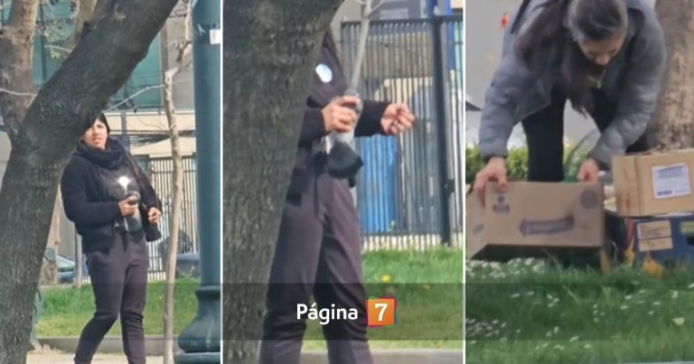 Captan inquietante video de mujer cazando palomas en una plaza: las vendería a restorán de Santiago