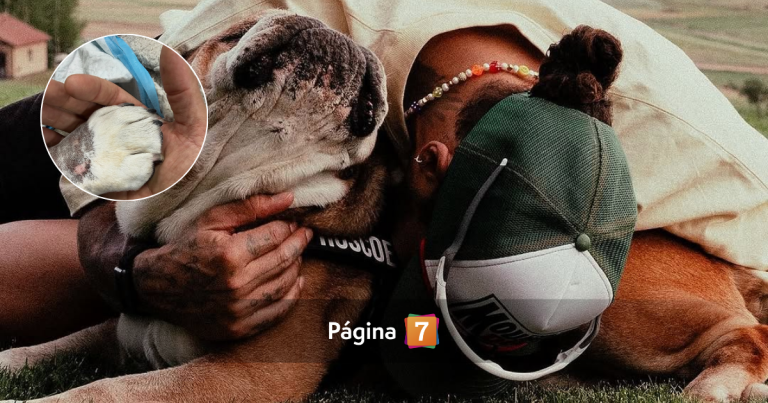 Lewis Hamilton despidió a su perro Roscoe: “Un ángel y un verdadero amigo”