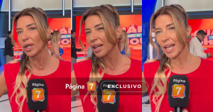 Yo no quería volver a la farándula Pancha Merino ahondó sobre su trabajo en CHV