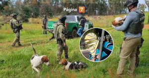 Encapuchado atacó a cazadores de conejos en la Araucanía: les quitó la ropa y mató a tres perros