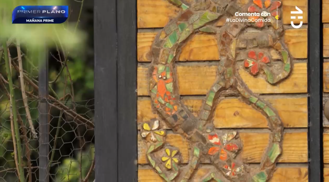 Francisca Imboden mostró su bella casa en La Divina Comida: destacó gran vegetación
