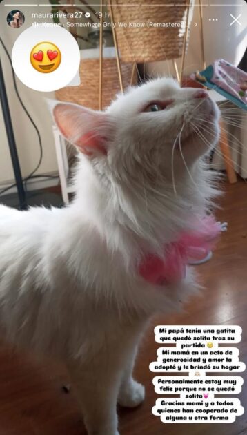 Maura Rivera reveló bondadoso gesto de su madre tras deceso de su papá: "Estoy muy feliz"