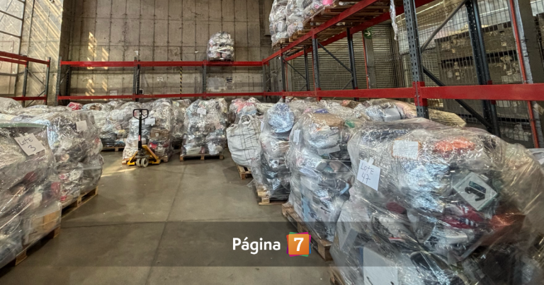 Tía Rica rematará maletas del aeropuerto, 40 caballos y autos dados de baja por entidades públicas