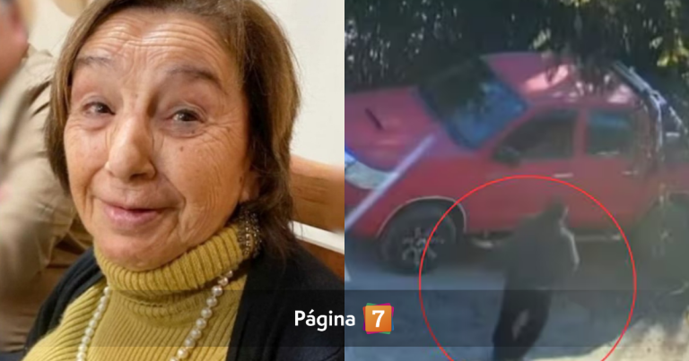 Caso María Elcira: perito acusa inconsistencias en testimonios y omisión de evidencia audiovisual