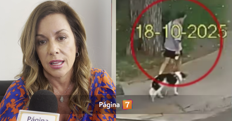 Aseguran que Yuyuniz Navas es parte clave en el caso Cruz-Coke: su testimonio es “fundamental”