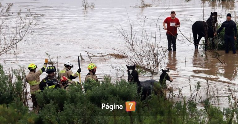 Encuentran cuerpo de adolescente que desapareció en el río Maipo mientras se bañaba con amigos
