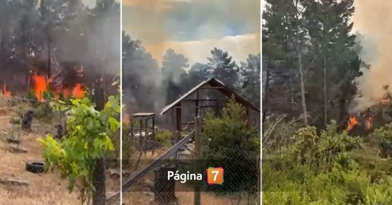 Alerta roja por incendio forestal en Valparaíso: ordenan evacuar sector afectado por las llamas