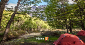 Los Perros en Las Torres del Paine
