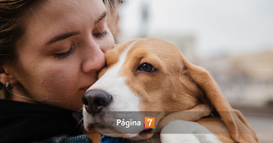 Cámara aprueba permiso laboral a trabajadores en caso de muerte de mascota