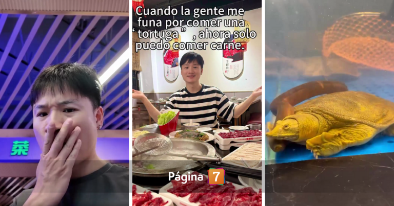 Yuhui tras polémica por video donde matan y cocinan una tortuga: 