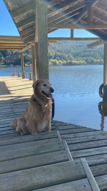 La "bacteria asesina" del Lago Vichuquén
