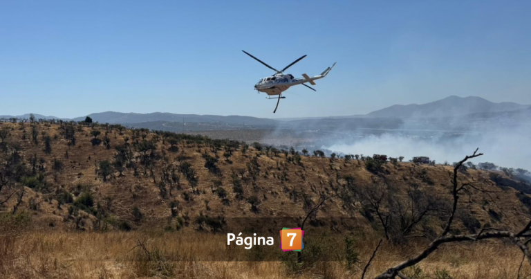 Decretan alerta roja por gran incendio en Limache: ordenaron evacuar dos sectores de la comuna