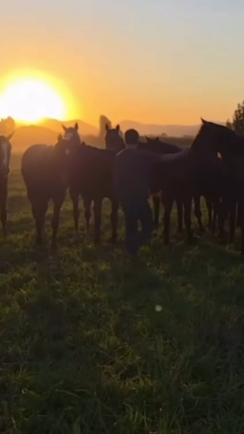 Benjamín Vicuña y su exclusiva casa en Chile