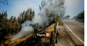 Focos activos de incendios forestales en el Maule y O’Higgins