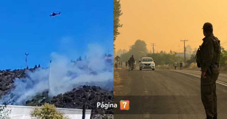 Activaron mensajería SAE: Senapred solicita evacuar sectores del Maule por incendios forestales