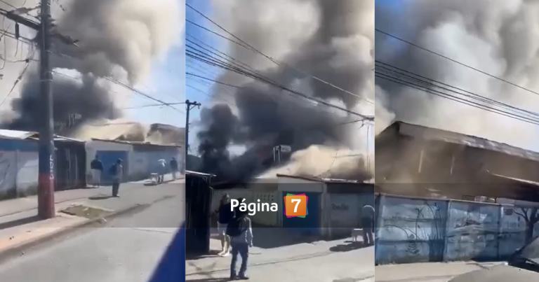 Adulta mayor con discapacidad murió en incendio en San Pedro de la Paz: no pudo escapar