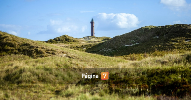 Isla privada en Chiloé sale a la venta por 47 mil UF: 32 hectáreas de naturaleza y total aislamiento