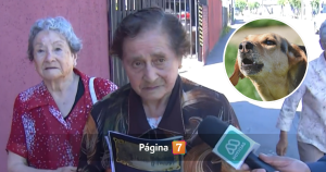 Adulta mayor que denunció ruidos molestos de mascota de su vecina vive complejo momento en Hualpén