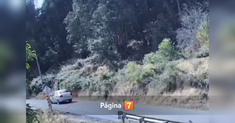 Graban a bombero que habría arrojado elemento incendiario en pastizales de La Cruz