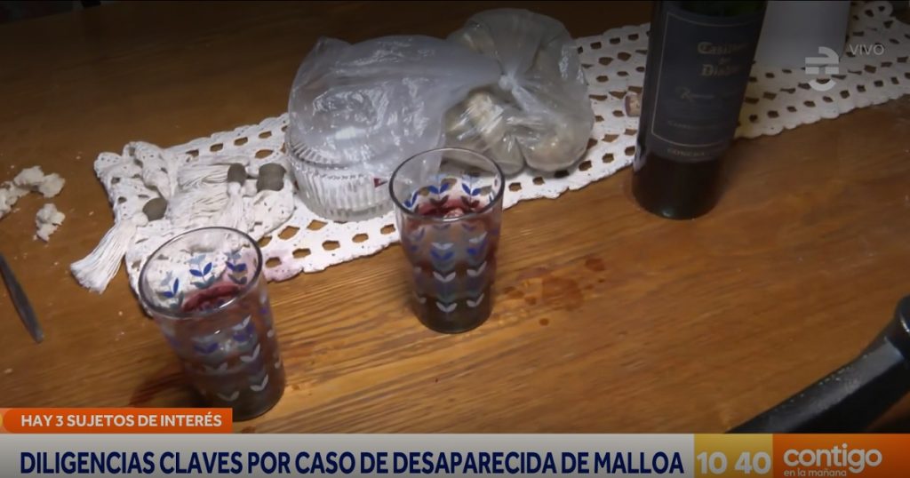 Nuevos antecedentes en desaparición de Luz Espinoza, hace dos meses, en Malloa