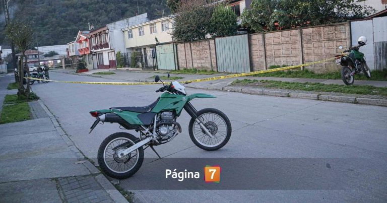 Intentó matar a su pareja y luego se hirió: grave caso de femicidio frustrado impactó a Panguipulli