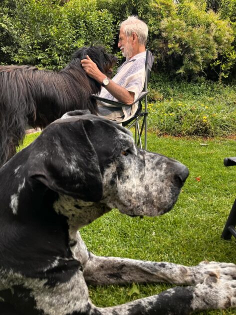 Emilia Noguera subió íntima fotografía familiar de su padre Héctor: está acompañado de sus mascotas