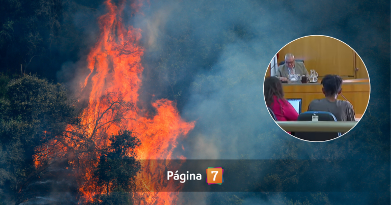 Hombre detenido por incendio en Maule quedó en libertad: 