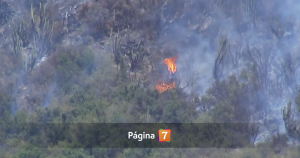 Incendio en Pichidegua se reactivó: está a 400 metros de población.