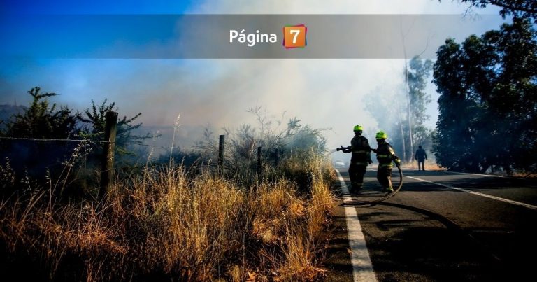 Incendios forestales: Senapred activa alerta SAE para evacuar 4 sectores de Pudahuel