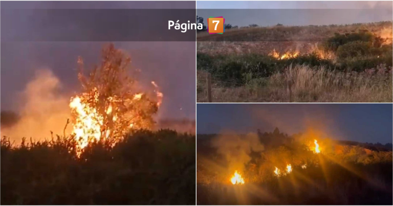 Incendio forestal en San Pedro de Melipilla consume al menos 3 casas: hay Alerta Roja