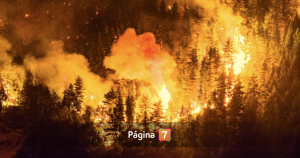 Incendios forestales arrasan la Patagonia argentina y obligan a evacuar a 3.000 turistas