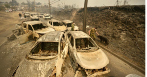 Cuáles son los albergues habilitados por incendios forestales