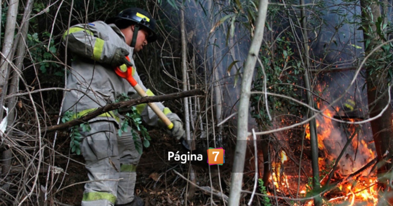 Rayo desató incendio en Santa Bárbara: Conaf logró controlarlo con apoyo aéreo