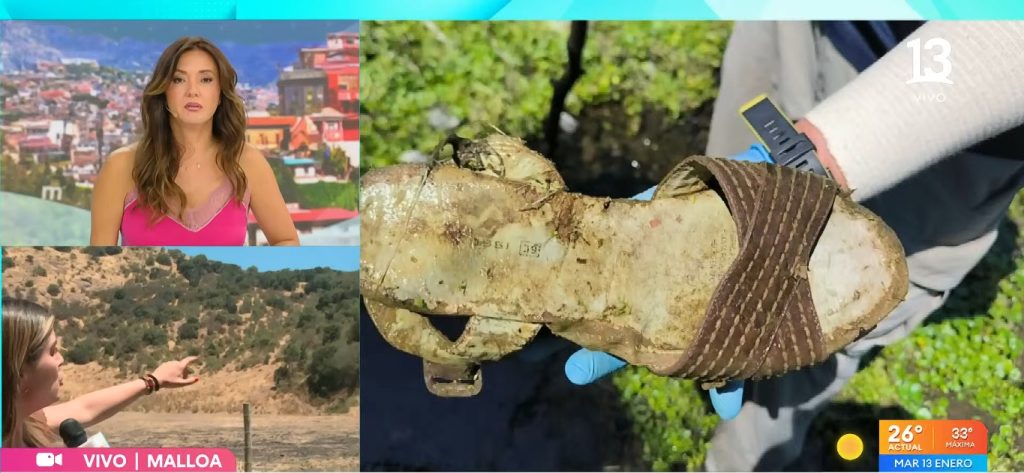 Desaparición de Luz Espinoza en Malloa: encontraron zapato y hay tres personas de interés