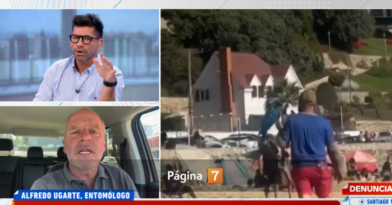 El debate de Karim Butte y Alfredo Ugarte por denuncia de maltrato a guacamayos en playas chilenas