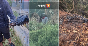 Detienen a sujeto que habría intentado iniciar incendio en Penco