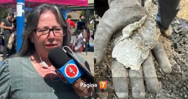 Familia de Lirquén sufrió pérdida de más de $10 millones por incendios: 