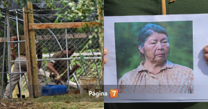 Hallan posible machete durante trabajos de búsqueda de Julia Chuñil