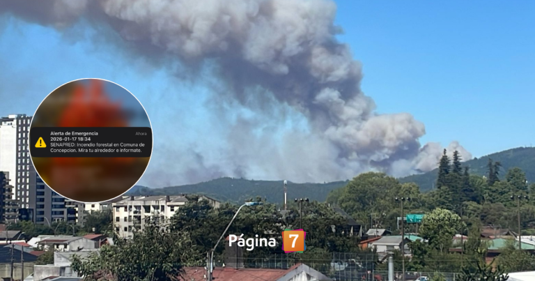 Incendio forestal afecta a sectores de Concepción: se activó alerta SAE