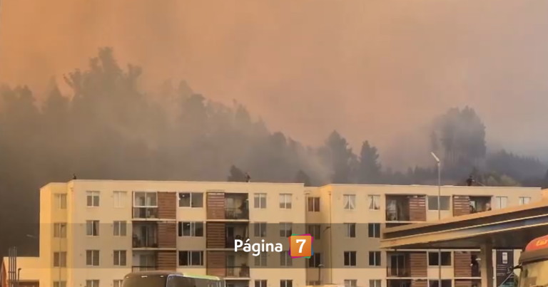 Vecinos de Palomares intentan salvar sus casas ante rápido avance de incendio en Concepción