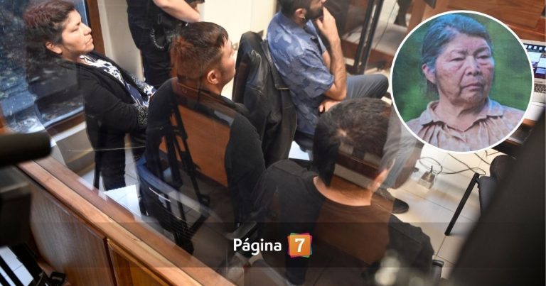 Caso Julia Chuñil: solo uno de los hijos queda en prisión preventiva