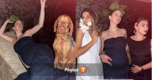 Tras anuncio de embarazo de Mariana di Girolamo: los actores y actrices que dieron sus muestras de cariño