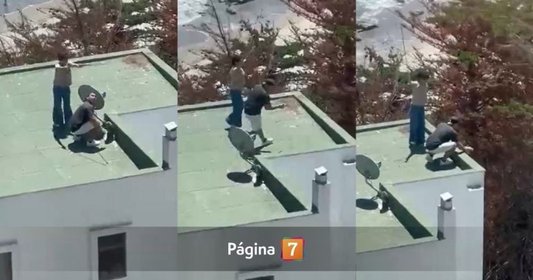 Pareja arrojó a polluelos de gaviota desde azotea de edificio en Maitencillo: video generó repudio