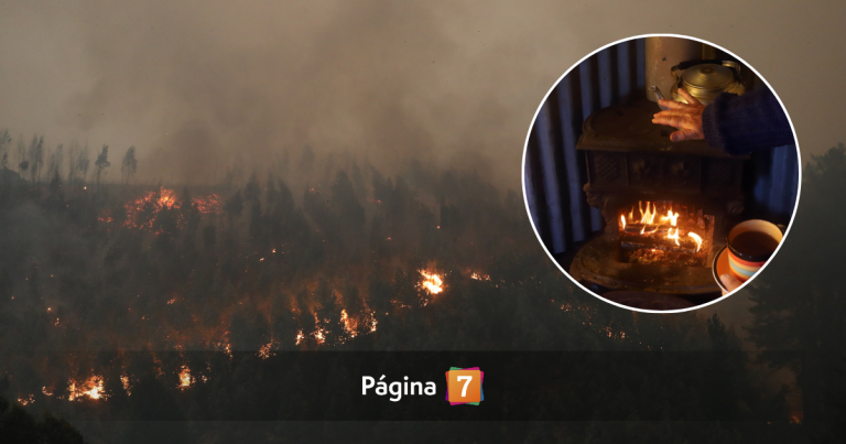 Una cocina a leña en mal estado: los detalles del presunto origen del incendio forestal en el Biobío
