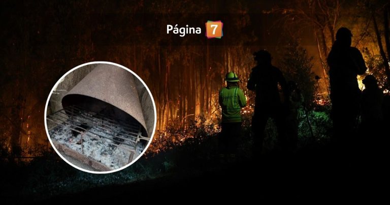 Dueño del predio donde se habría originado el incendio del Biobío rompió el silencio